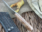 Arno Bernard Knives Springbok Grazer Maple Burl Wood Handles N690 steel image 2