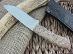 Arno Bernard Cutlery Hippo Giant Maple Burl handles N690 steel 1308 image 6