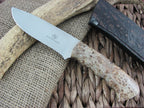 Arno Bernard Cutlery Hippo Giant Maple Burl handles N690 steel 1308 image 4