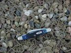 Case Cutlery 2000 Blue Jigged Bone Small Stockman with TruSharp steel 6327