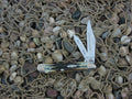 Case Collectors Club 2002 Burnt Moss Bone Peanut with TruSharp steel 6220 01522