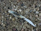 Case Collectors Club 2002 Burnt Moss Bone Peanut with TruSharp steel 6220 01522
