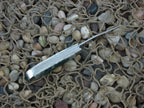 Case Collectors Club 2004 Green Bone Tiny Trapper with TruSharp steel 62154 07500