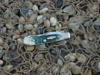 Case Collectors Club 2004 Green Bone Tiny Trapper with TruSharp steel 62154 07500