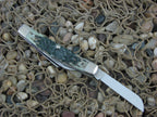 Case Collectors Club 2003 Green Bone Congress with TruSharp steel 64052 01962