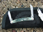 Case Collectors Club 2003 Green Bone Half Congress with TruSharp steel 6268 01960