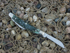 Case Collectors Club 2003 Green Bone Half Congress with TruSharp steel 6268 01960