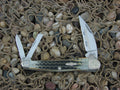 Case Collectors Club 2002 Burnt Moss Bone Seahorse Whittler with TruSharp steel 6355 01523