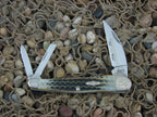Case Collectors Club 2002 Burnt Moss Bone Seahorse Whittler with TruSharp steel 6355 01523