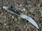 Case Collectors Club 2002 Burnt Moss Bone Seahorse Whittler with TruSharp steel 6355 01523 B