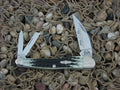 Case Collectors Club 2002 Burnt Moss Bone Seahorse Whittler with TruSharp steel 6355 01523
