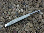 Case Collectors Club 2002 Burnt Moss Bone Seahorse Whittler with TruSharp steel 6355 01523