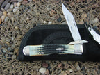 Case Collectors Club 2002 Burnt Moss Bone Cheetah with TruSharp steel 6111.5L 01524