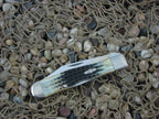 Case Collectors Club 2002 Burnt Moss Bone Cheetah with TruSharp steel 6111.5L 01524