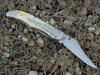 Case Cutlery 2003 Burnt White Bone Mid Folding Hunter with TruSharp steel 61265LC