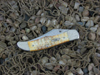 Case Cutlery 2003 Burnt White Bone Mid Folding Hunter with TruSharp steel 61265LC