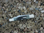 Case Cutlery 2001 Moss Green Bone Half Whittler with TruSharp steel 62083 CA01549