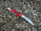 Case Cutlery 2000 Red Bone Whittler with TruSharp steel 6383
