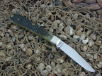 Case Collectors Club 1997 Green Bone Barehead Trapper with TruSharp steel 61054 CA01669