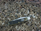 Case Collectors Club 1997 Green Bone Barehead Trapper with TruSharp steel 61054 CA01669