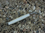 Case Cutlery 2006 Celtic Maze Bone Congress with TruSharp steel 64052 CA6434CM