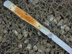 Case XX 1988 Amber Rogers Bone Jack with TruSharp steel 61113