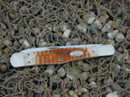 Case XX 1988 Amber Rogers Bone Jack with TruSharp steel 61113
