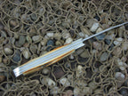 Case XX 1992 Stag Copperhead with TruSharp steel 05200