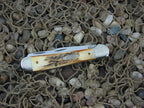Case XX 1992 Stag Copperhead with TruSharp steel 05200