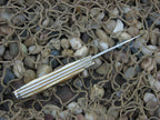 Case Cutlery 2008 Stag Swayback Jack with TruSharp steel 62117 CA95526