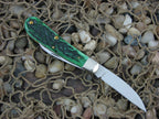Case Cutlery 2008 Bermuda Green Bone Swayback Jack with TruSharp steel 62117 CA79730