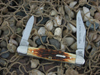 Case Cutlery 2005 Platts Golden Bone Half Whittler with TruSharp steel 6208