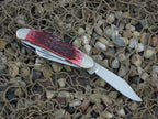 Case Cutlery 2002 Cranberry Bone Sowbelly with TruSharp steel 6539
