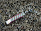 Case Cutlery 2002 Cranberry Bone Sowbelly with TruSharp steel 6539