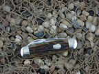 Schatt & Morgan 2001 Goldenrod Bone Small Sunfish with 420HC steel O42265