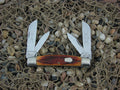Schatt & Morgan  Caramel WG Bone Large Congress with 420HC steel O44431 