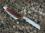 Schatt & Morgan  Caramel WG Bone Large Congress with 420HC steel O44431