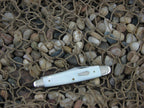 Schatt & Morgan 1991 Genuine Pearl Pen with 420HC steel O42103