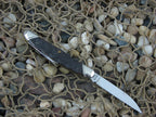 Winchester Knives 1988 Dark Bone Half Whittler with Carbon steel 2935 W152935