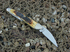 Case Cutlery 2002 Burnt Antique Jig Bone Seahorse Whittler with TruSharp steel 6355