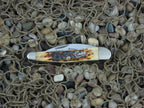 Case Cutlery 2002 Burnt Antique Jig Bone Seahorse Whittler with TruSharp steel 6355