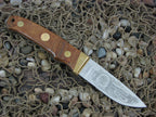Schrade USA PH1 NAHC Satin Stainless Maple Wood Fixed Blade