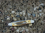 Case Cutlery 1993 ABCA Burnt Stag Muskrat with TruSharp steel