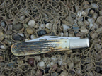 Case Collectors Club 2006 Burnt Stag Grandaddy Barlow with TruSharp steel 5143 07540