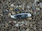Case Collectors Club 2000 Moss Green Bone Pocket Hunter with TruSharp steel 62165 01564