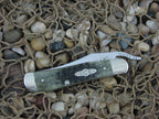 Case Collectors Club 2001 Moss Green Bone Russlock with TruSharp steel 61953L 01547