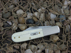 Case XX Cutlery 2019 Smooth Natural Bone Barlow with TruSharp steel 62009 1/2 13055 NM