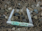 Case Cutlery 2004 Caribbean Blue Bone Eisenhower with TruSharp steel 06263 