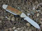 Case Cutlery 1989 Sheep Horn Canoe with TruSharp steel 62131