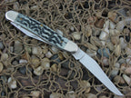 Case XX 2001 Black Pocketworn Bone Muskrat with TruSharp steel  03555
